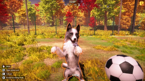Animal Shelter 2 Game Features
